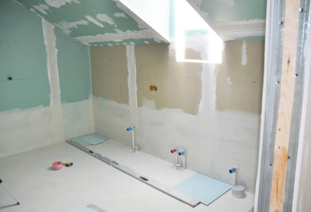 Best Crawl Space Mold Remediation  in Douglass, KS