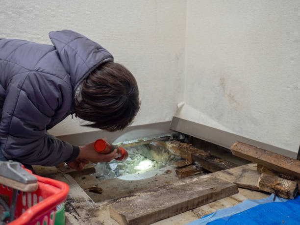 Best Emergency Mold Remediation  in Douglass, KS