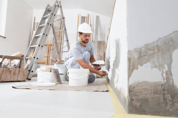 Best Mold Documentation for Insurance Claims  in Douglass, KS
