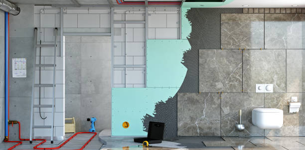 Best Mold Removal for HVAC Installations  in Douglass, KS