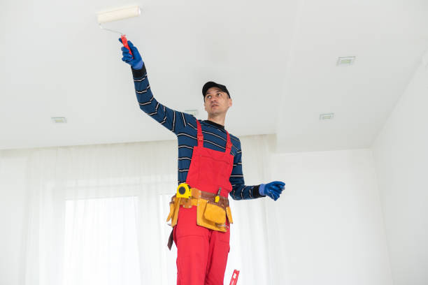 Trusted Douglass, KS Mold Removal Experts