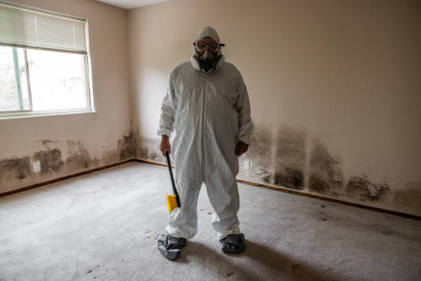 Best Black Mold Removal  in Douglass, KS